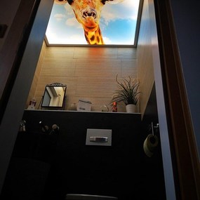 Modernes Badezimmer mit Deckenbild einer Giraffe vor blauem Himmel und dekorativen Pflanzen.